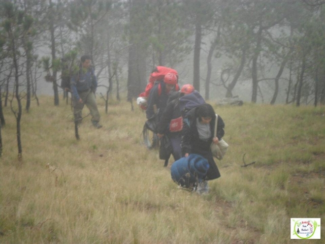  Caminhando no nevoeiro 